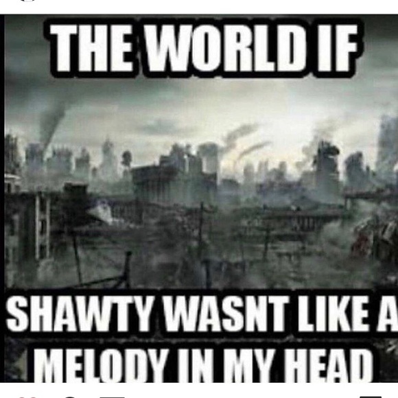 Meet your Posher, Shabba - Picture 4 of 7